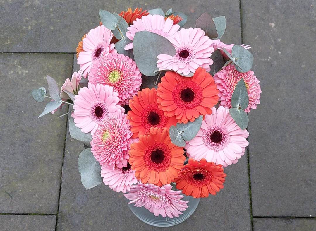 Gerbera Boeket De Gerberas