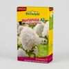 Hortensia-AZ