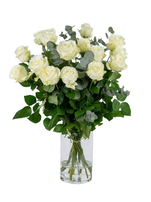Witte_rozen_15 Bos Witte rozen