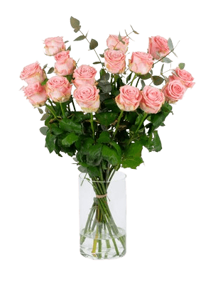 Roze_rozen_15 Bos Roze rozen