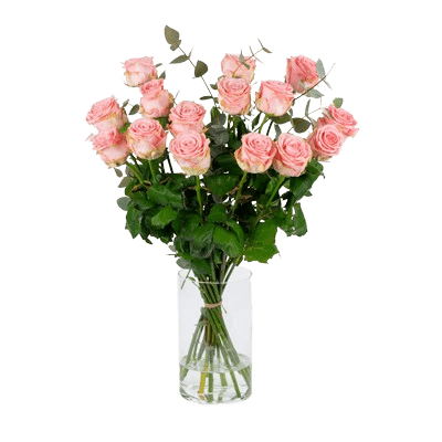 Roze_rozen_15 Bos Roze rozen