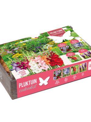 Pluktuin cadeaukist