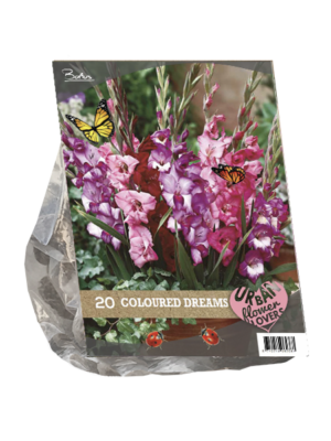 Urban Flowers - Coloured Dreams per 20