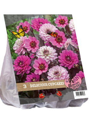 Urban Flowers - Delicious Cupcakes per 3