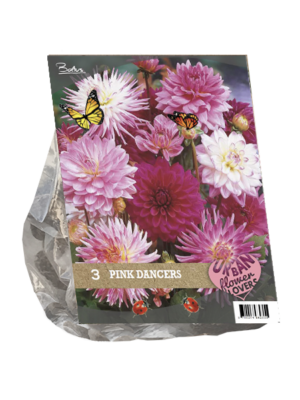 Urban Flowers - Pink Dancers per 3