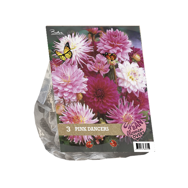 Urban Flowers - Pink Dancers per 3