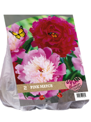 Urban Flowers - Pink Match per 2