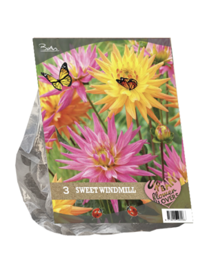 Urban Flowers - Sweet Windmill per 3