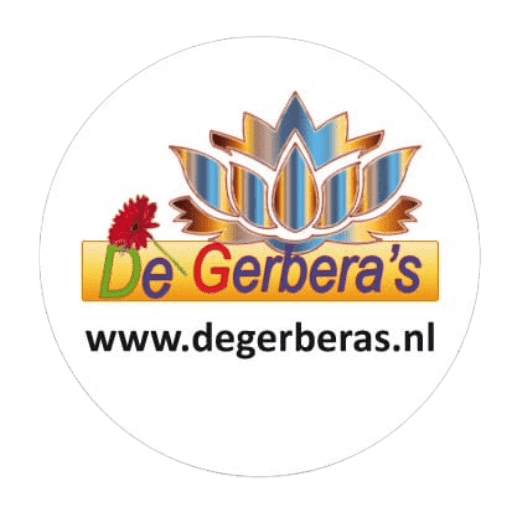 Bloemist Oudehaske De Gerbera's