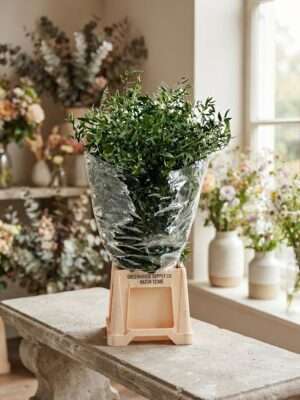 Ruscus per bos