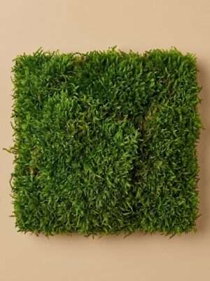 Plat Mos (Per Plak)