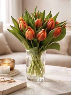 Oranje Tulpen