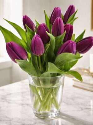 Paarse Tulpen