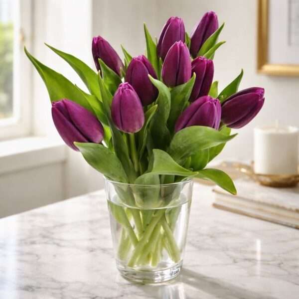 Paarse Tulpen