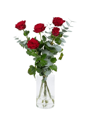 Bos Rode rozen ( Opgemaakt met Eucalyptus )