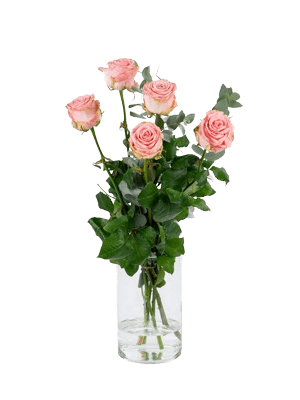 Bos Roze rozen ( Opgemaakt met Eucalyptus )