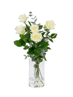 Bos Witte rozen ( Opgemaakt met Eucalyptus )