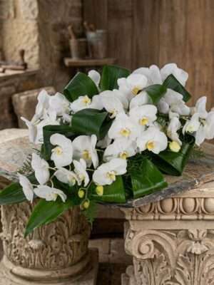 Rouwarrangement Druppel Orchidee Wit