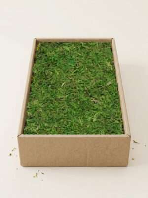 Plaatmos Groen (Doos ca. 2kg)