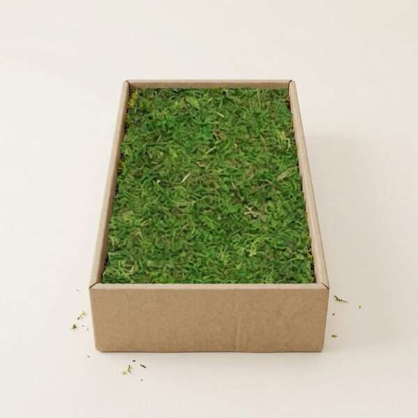 Plaatmos Groen (Doos ca. 2kg)
