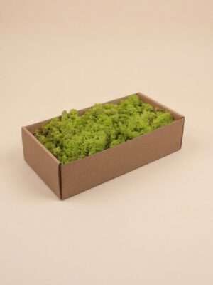 Finnland Moss Light-Green 500gr.