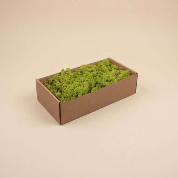 Finnland Moss Light-Green 500gr.